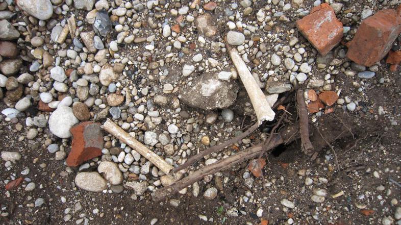 Gramoznica Titova cesta 