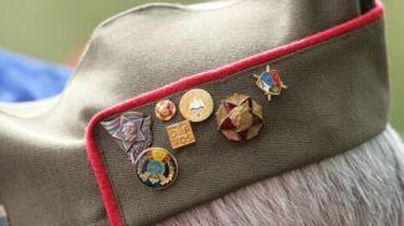 Osolnik meni, da se zanemarja povojni boj proti stalinizmu.