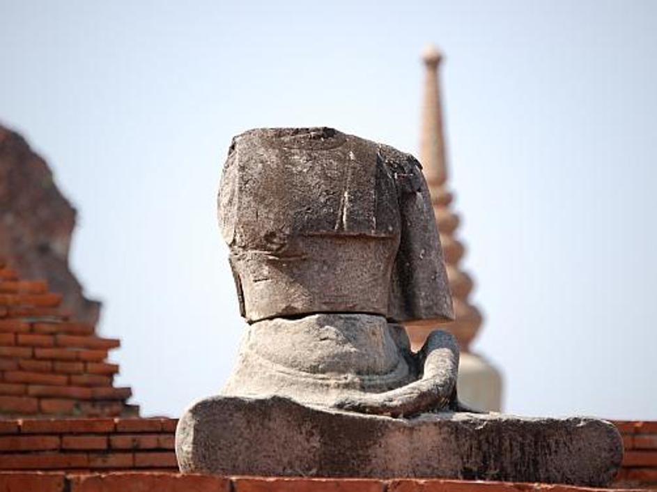 Kipe Bude so že zdavnaj vzeli na piko plenilci, zato jih je večina ostala brez g