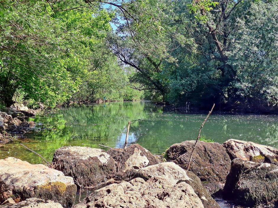 Vipava Velike Žablje | Avtor: Facebook