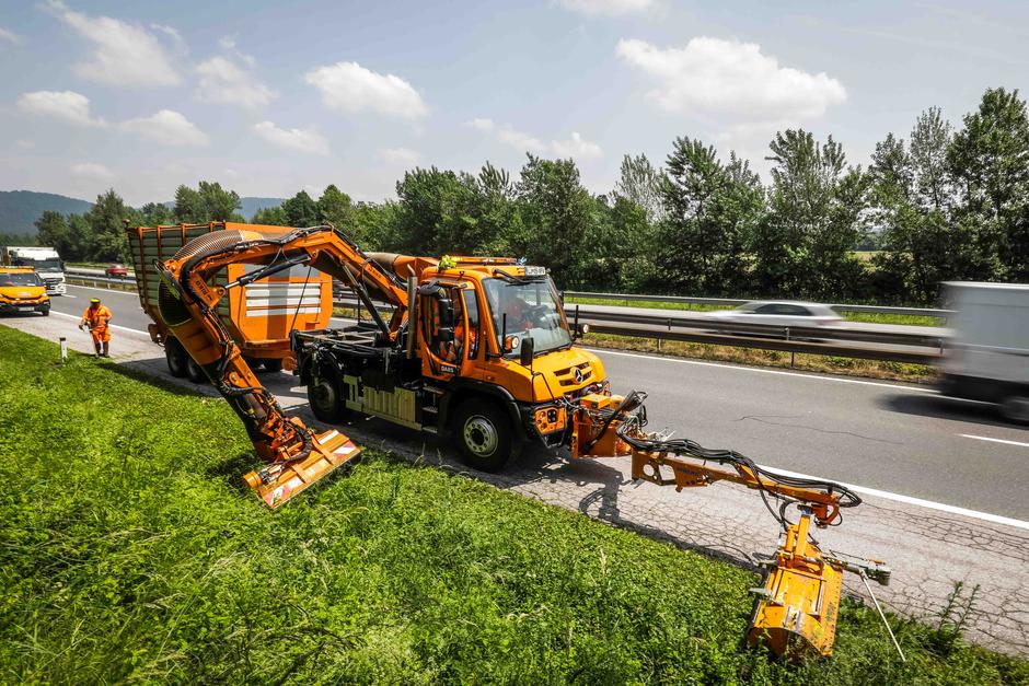 DARS | Avtor: Saša Despot