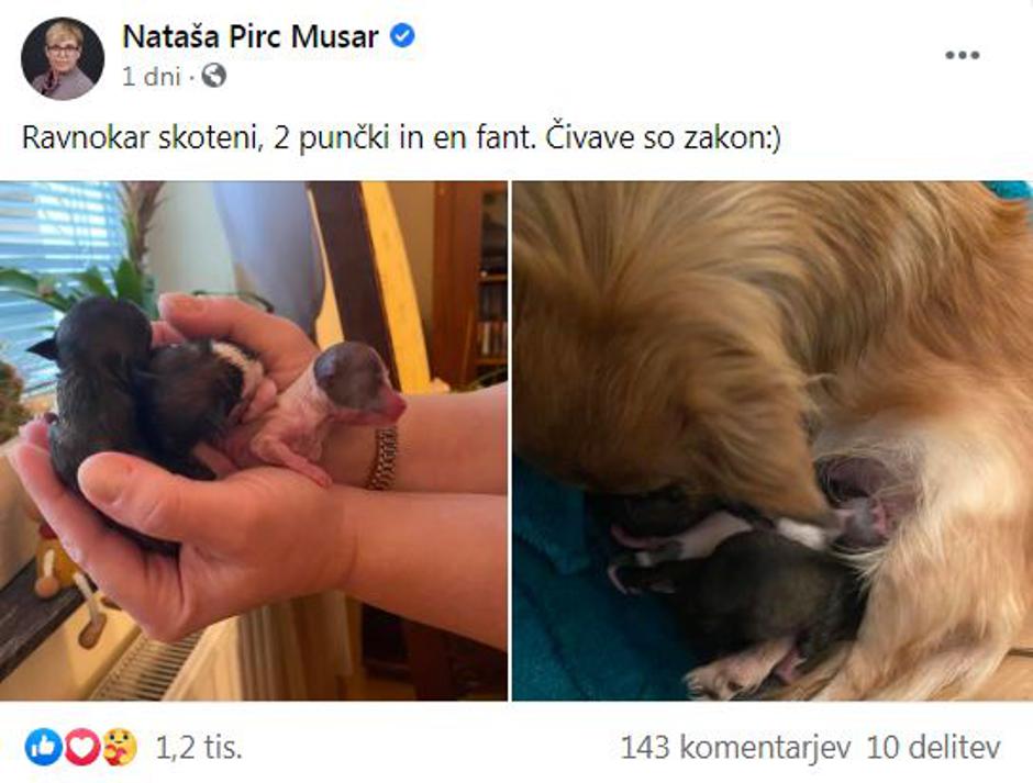 Nataša Pirc Musar | Avtor: Facebook