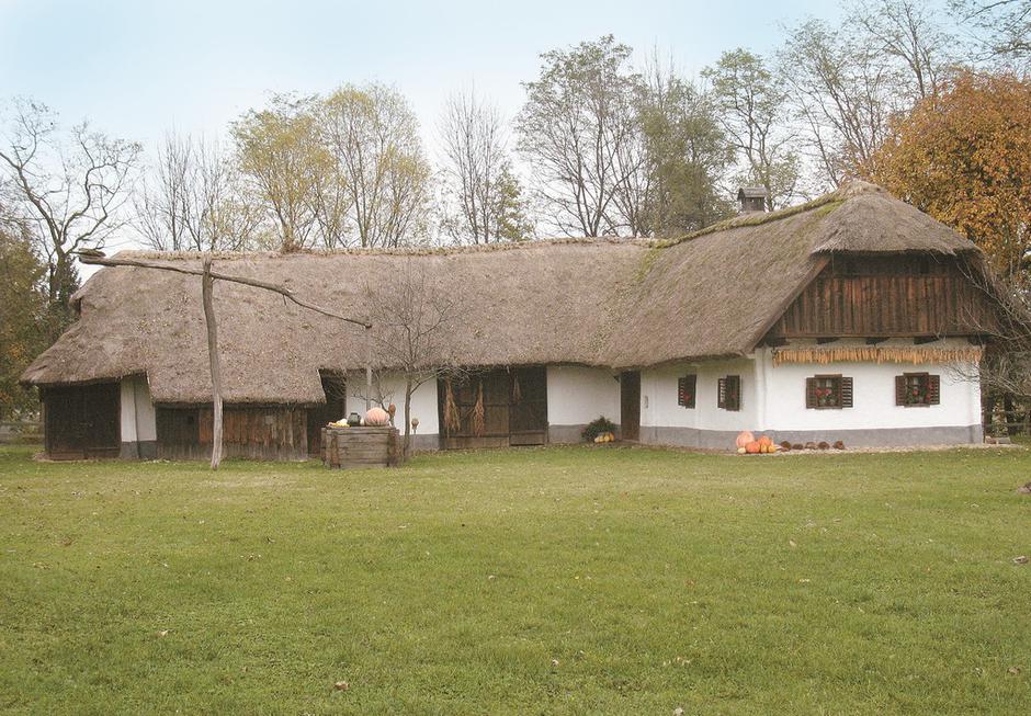 panonska hiša | Avtor: Arnes