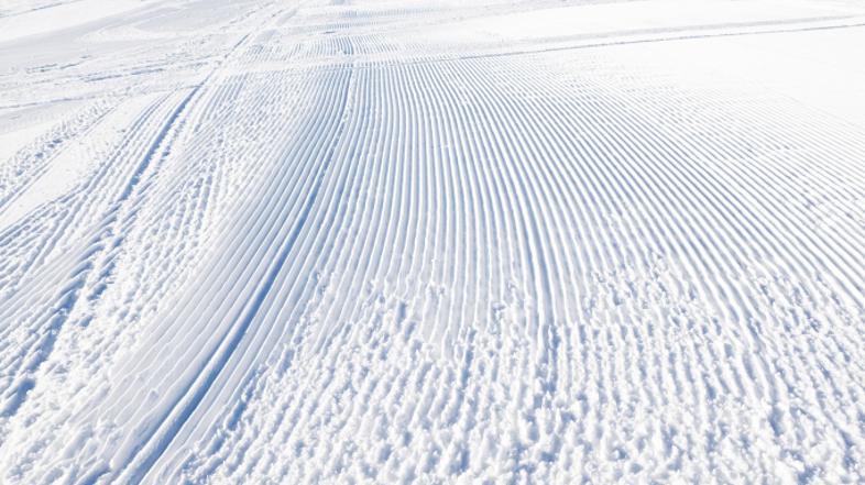 zivljenje 04.12.12. smucanje, smucisce, foto: shutterstock