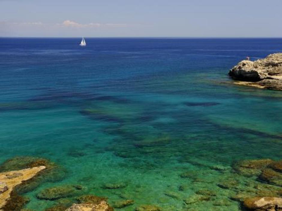  | Avtor: Žurnal24 main