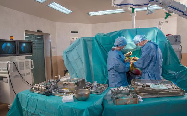 Ortopedska kirurgija