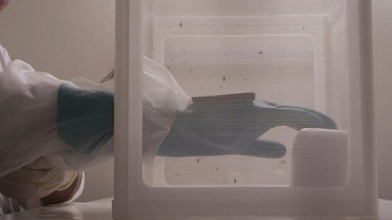 Virus Zahodnega Nila