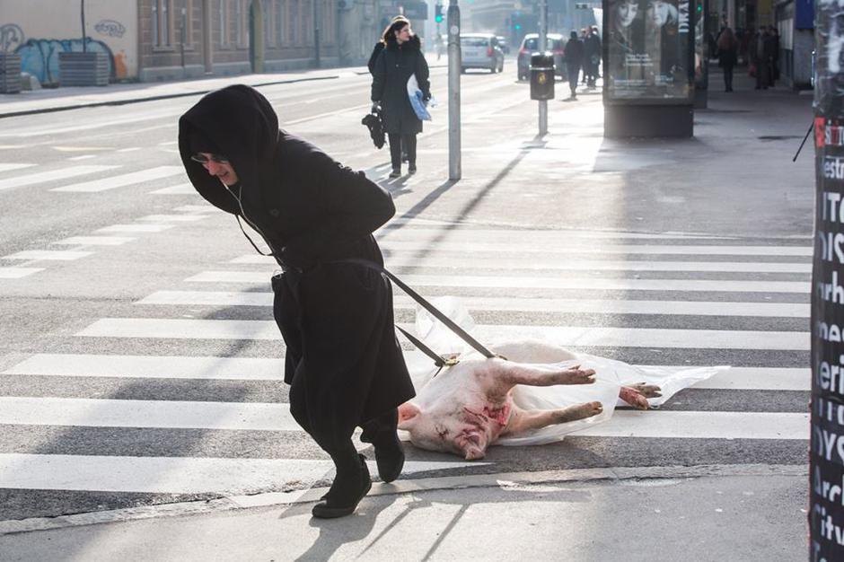 Performans 100KG, vlečenje prašiča po ulicah Ljubljane | Avtor: Nada Žgank / Arhiv Galerije Kapelica