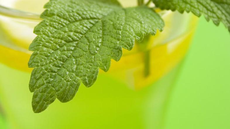 Če ga spijete preveč, lahko melisin čaj povzroči zaspanost. (Foto: Shutterstock)