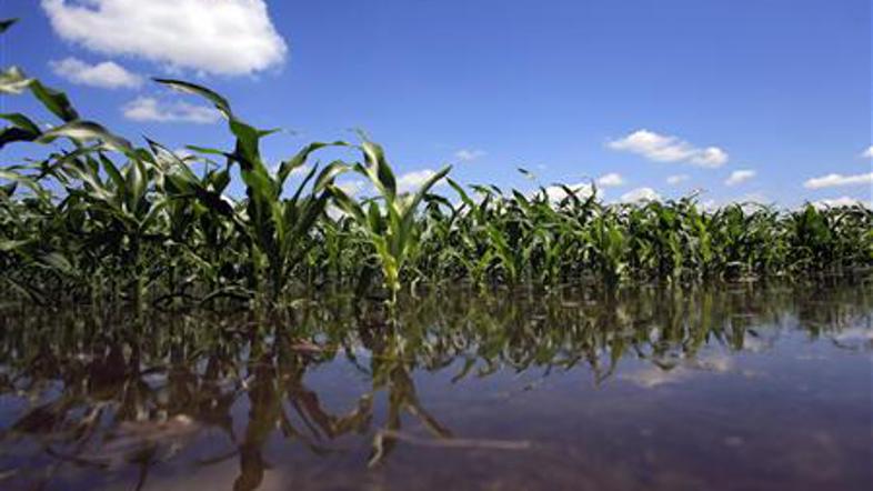Največje poplave v zadnjih 15 letih, ki so prizadela ZDA, so že vplivale na rahe