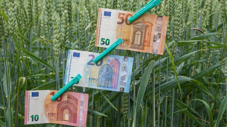 denar bankovci evro zeleni prehod