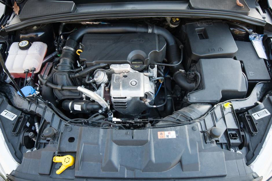 Focus | Avtor: Anže Petkovšek