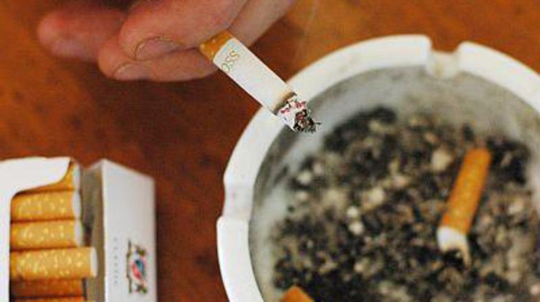 (Foto: Boštjan Tacol)