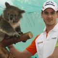 Adrian Sutil je v sredo spoznaval koale. V galeriji poglejte, kaj v Melbournu pr
