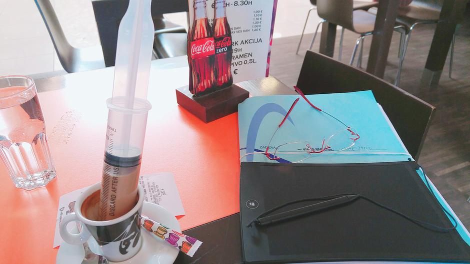  | Avtor: Osebni arhiv Sare Ahlin Doljak