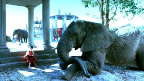 Čarobno potovanje v Afriko