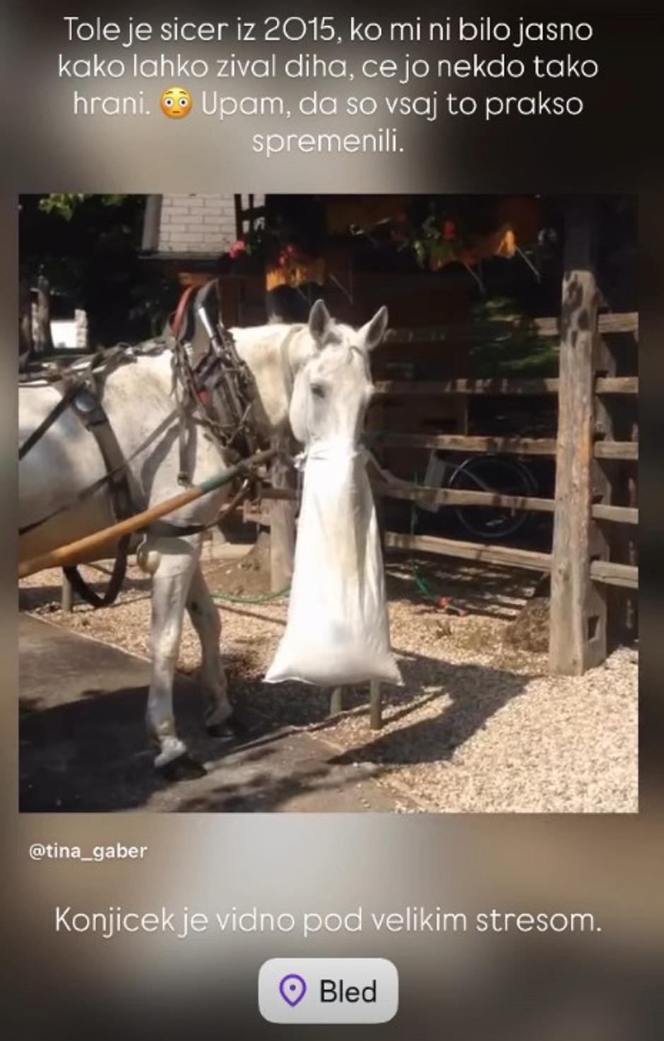 Tina Gaber | Avtor: Instagram