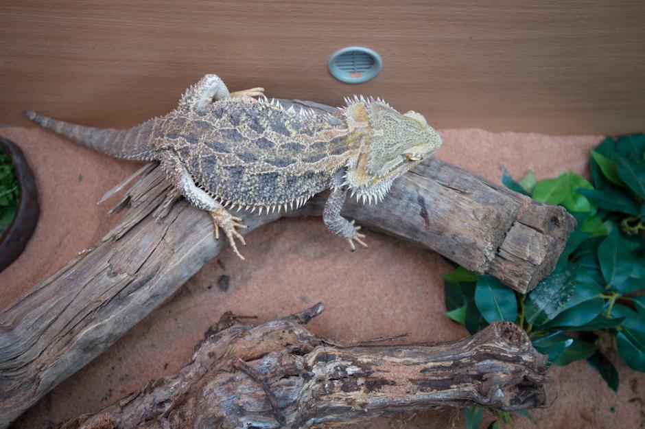 bioexo | Avtor: Anže Petkovšek