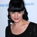 PAULEY PERRETTE
