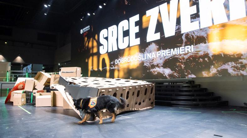 srce zveri