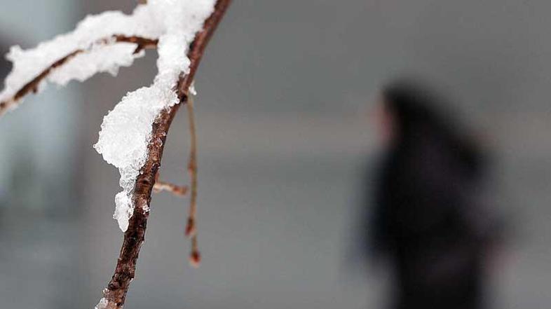 "V noči na četrtek lahko ponekod zapade tudi do četrt metra snega," poudari Greg