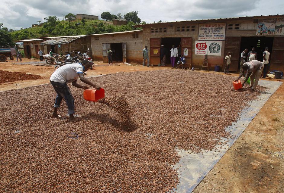 Kakavovec | Avtor: EPA