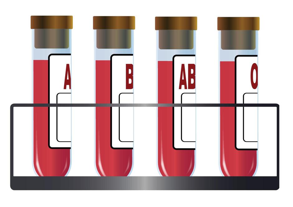 Krvna skupina | Avtor: Profimedia