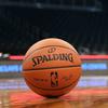 Spalding NBA žoga