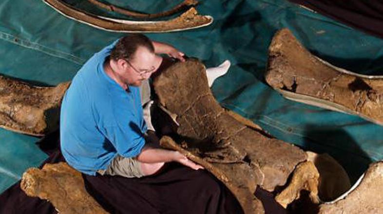 Paleontologi so odkrili tri nove fosilne primerke dinozavrov.