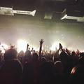Koncert