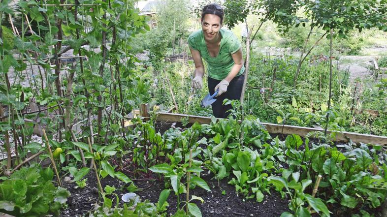 Ljubljana 31.05.2012 onkraj gradbisca, vrticki v srediscu Ljubljane ob Reseljevi