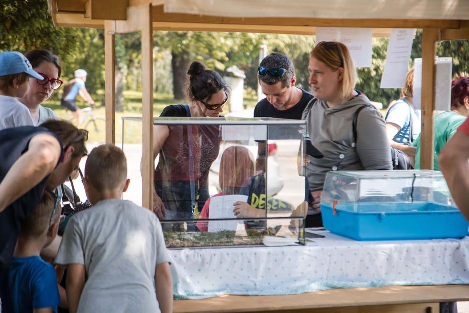 Festival za ljubitelje živali 2025 | Avtor: Cimet Studio