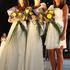 Miss Alpe Jadran