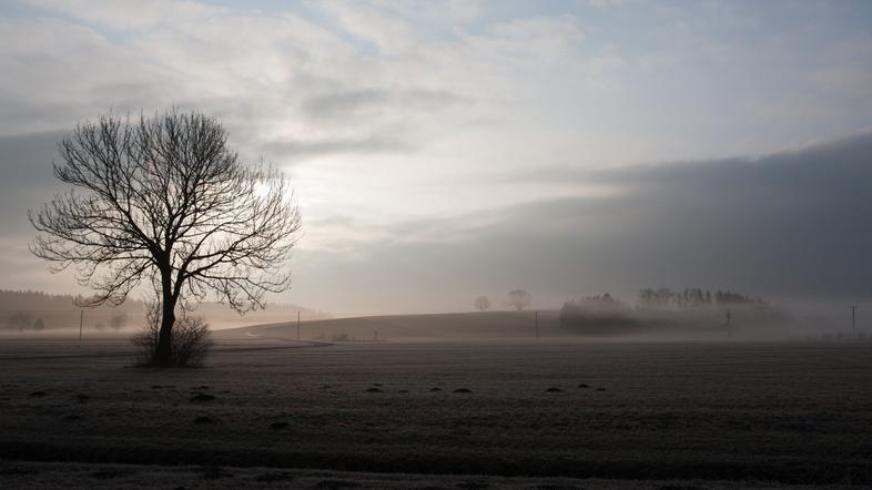 zima mraz zmrzal nizke temperature slana ivje