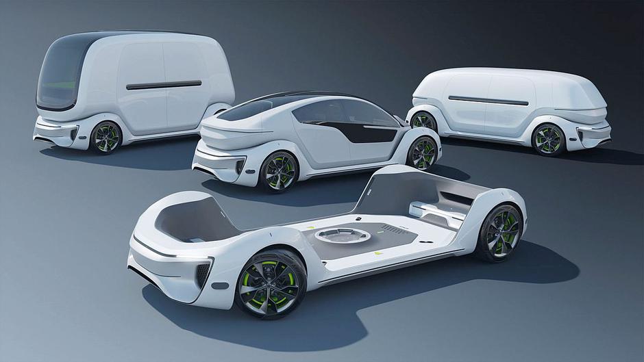 Elaphe | Avtor: Elaphe