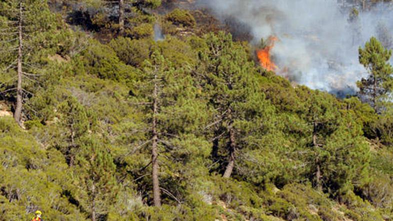 Septembra so požari v Kaliforniji zahtevali dve smrtni žrtvi.