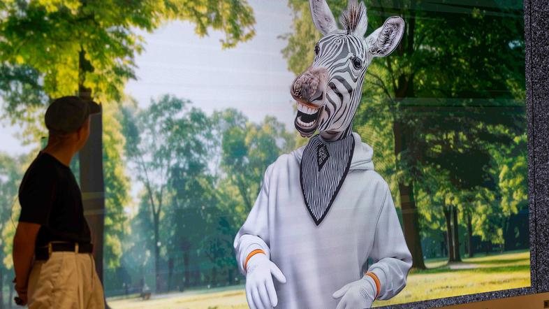 Zavarovalnica Triglav in Vid Zebra