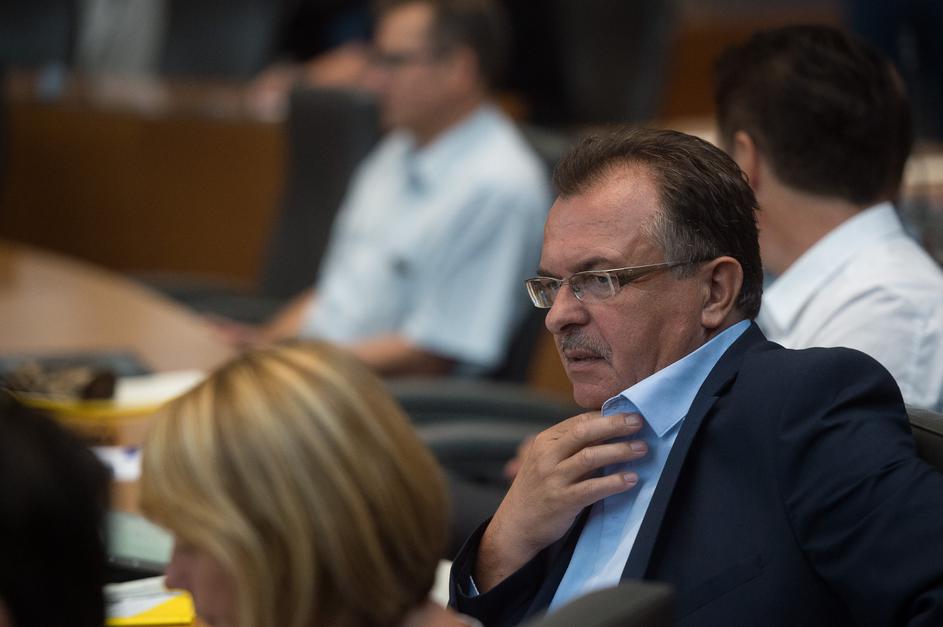 poslanci, državni zbor, Tanko