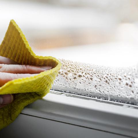 onesnažen zrak, plesen, vlaga, prezračevanje, filtriranje zraka