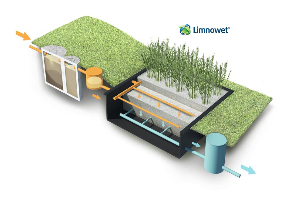 Rastlinska čistilna naprava | Avtor: arhiv Limnowet