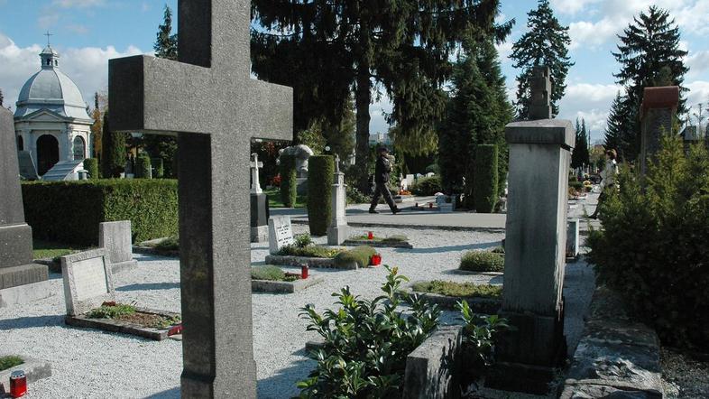 (Foto: Anže Petkovšek)