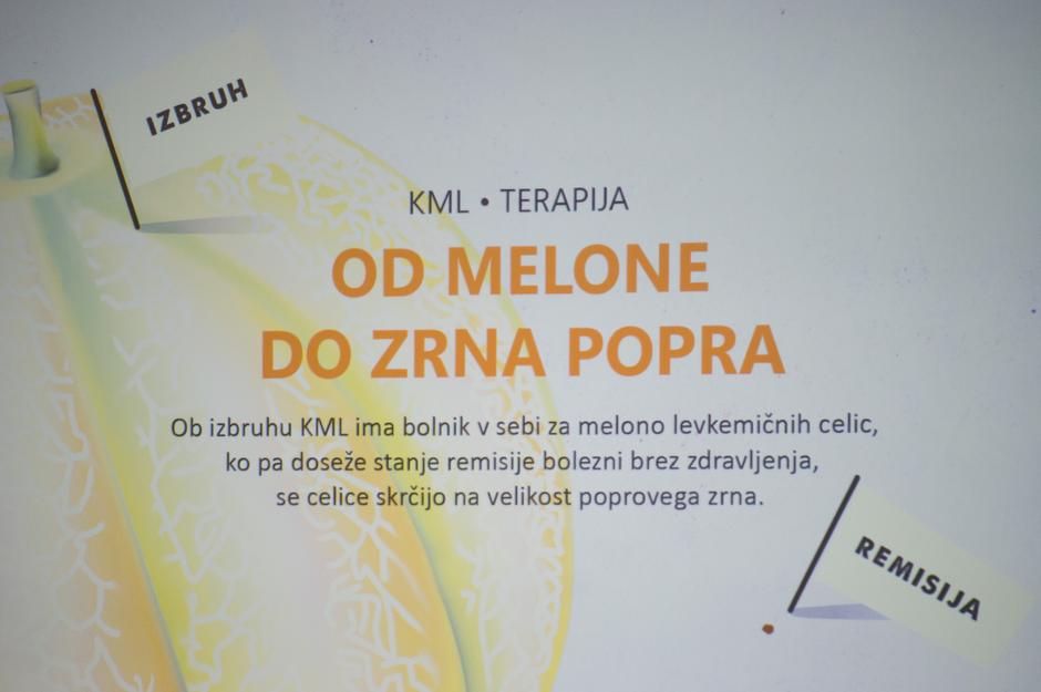 kronična mieloična levkemija KML | Avtor: Anže Petkovšek