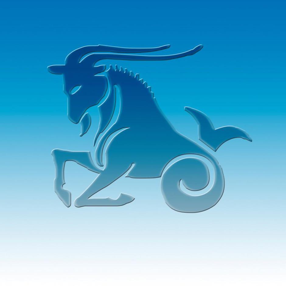 kozorog | Avtor: Profimedias