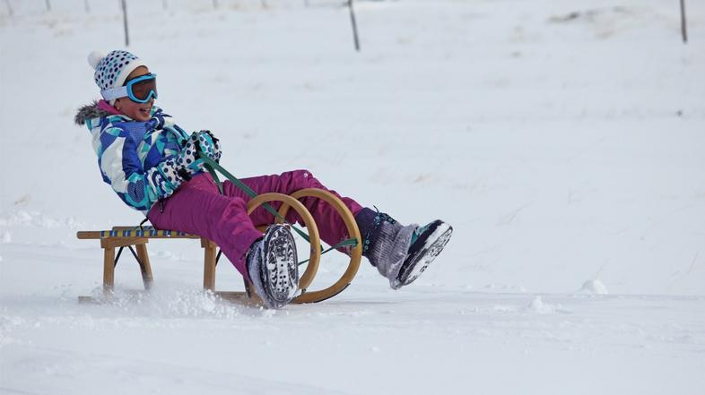 Zivljenje 19.02.13, sankanje, sanke, foto: shutterstock