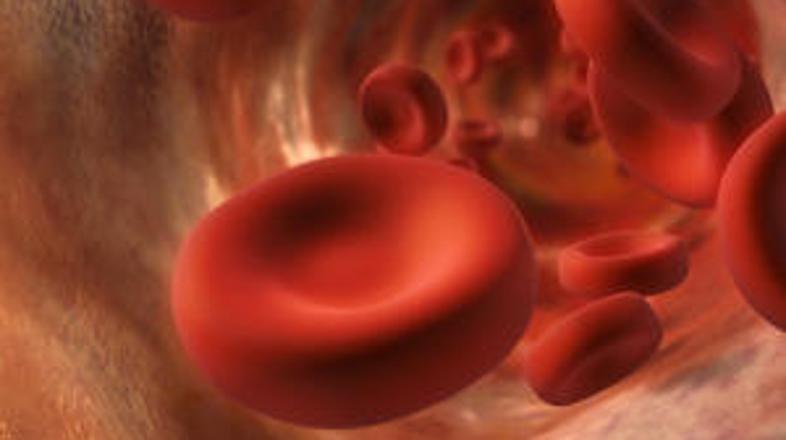 Avstralski znanstveniki so izdelali posebno mikroskopsko podmornico, ki bo lahko