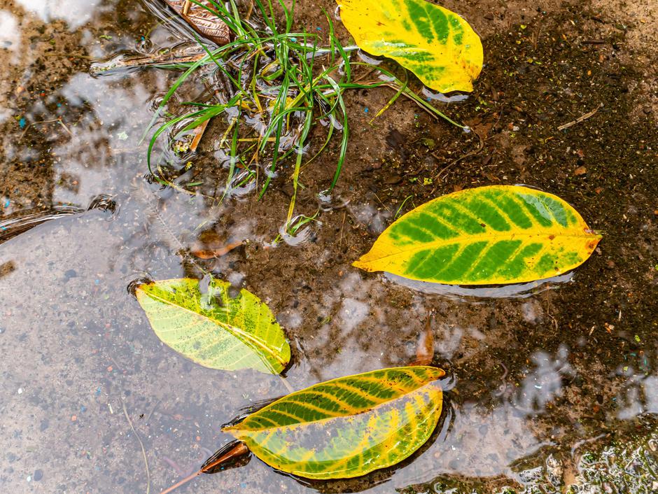 Jesensko vreme | Avtor: Profimedia