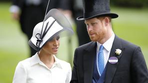 meghan markle, princ harry, princ William