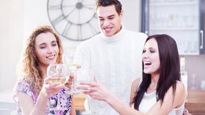 Vino, prijatelji, zabava