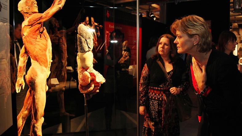 Body Worlds Vital