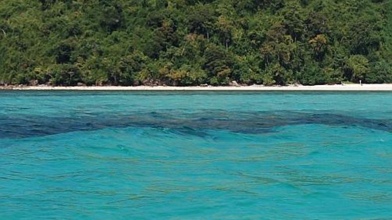 Otoček Poda je eden od tistih, na katerem so v deževnem obdobju edine stalne pre